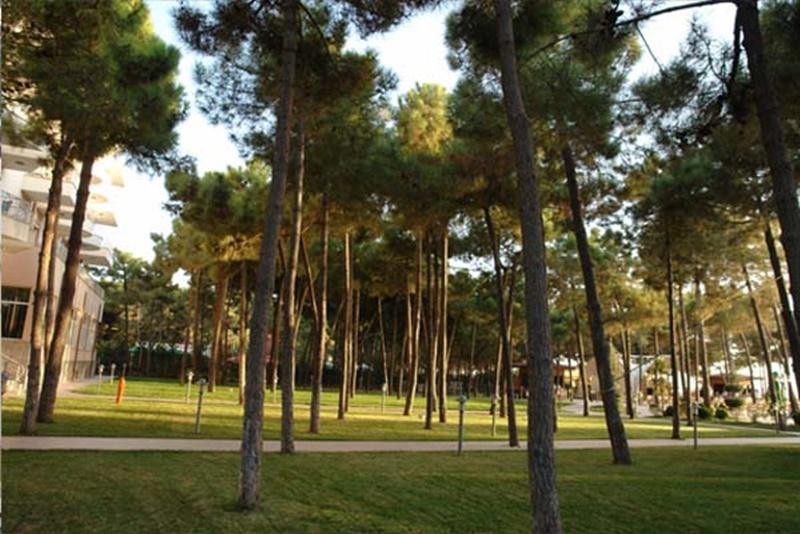 Dolce 4* Kryemedhej